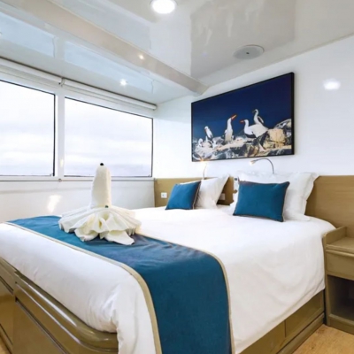 Live Aboard CALIPSO - GALÁPAGOS