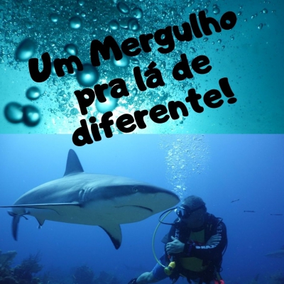 Mergulhando com TUBARÕES no Caribe